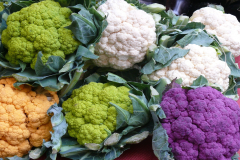 Image of Cauliflower